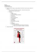 Med-surg II exam 3 study guide