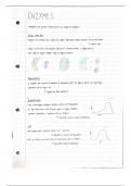 Edexcel GCSE Biology Enzymes Notes