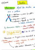 Pathology  handwritten notes University exam