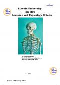 Anatomy and Physiology II Notes