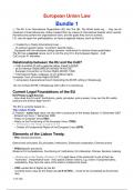 European Union Law Notes - Global Law Bachelor