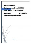 PYC4810: Psychology of Work 