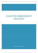 Samenvattingen Arbeidsrecht (individueel + collectief) 2023-2024 (Prof. Timbermont) 