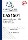CAS1501 Assignment 6 (DETAILED ANSWERS) Semester 1 2024 - DISTINCTION GUARANTEED