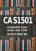 CAS1501 Assignment 6 2024