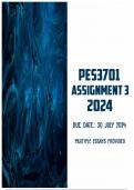PES3701 Assignment 3 2024| Due 30 July 2024