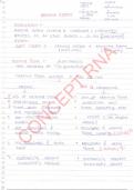 UPDATED NERVOUS SYSTEM W