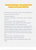 Anatomy & Physiology ~ Urinary System Exam Questions and Answers 100&percnt; Pass