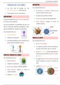 Caracteristicas de los virus y sus enfermedades
