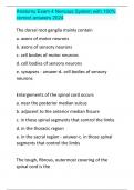 Anatomy Exam 4 Nervous System with 100&percnt; correct answers 2024
