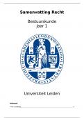 Samenvatting Recht (RE) 2024 Universiteit Leiden