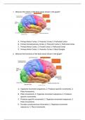 3.6 Neuropsychology: Summary, Lecture Notes, iRAT questions