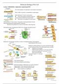 Summary Molecular Biology of the Cell