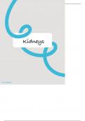 Summary -  The Kidneys/ osmoregulation 