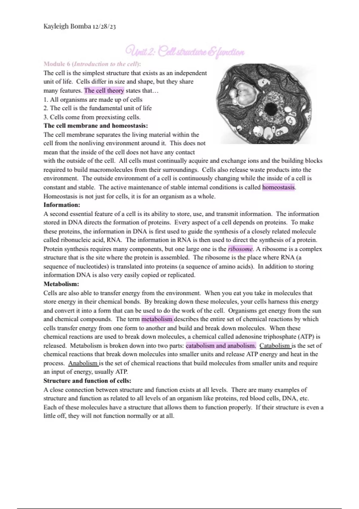 AP biology - unit two - cell structure and function - Bio 1510 - Stuvia US