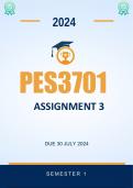 PES3701 Assignment 3 Semester 1 2024
