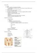 Samenvatting -  Anatomie en fysiologie gezonde mens: URINAIR STELSEL