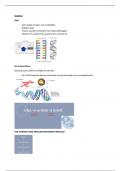 Samenvatting -  Genetica, voortplanting en embryologie: GENETICA