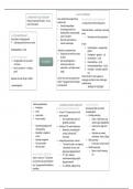 Schema's ouderschap, 3de bachelor orthopedagogie HoGent 