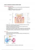 Biomedicine 1 - Lecture notes intro to protiens