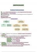 Summary of AQA  A-level Biopsychology!!