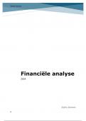 Financiële analyse H1 t.e.m. H3