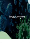 Overview of the Immune System