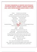 TEST BANK FUNDAMENTALS OF ANATOMY AND PHYSIOLOGY 11TH EDITION UPDATED &vert; FREDERIC H&period; MARTINI&comma; EDWIN AND JUDI L&period; NATH&vert; VERIFIED ANSWERS ALREADY GRADE A&plus; LATEST 2024