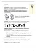 Samenvatting -  Cancer biology (BIOMRE09/course 10)