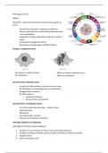 Samenvatting - Pathology of cancer (BIOMRE09/course 10)