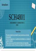 SCH4801 Assignment 3 Semester 2 2024