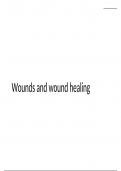 Latest Preview Thumbnail
