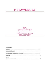 Metawerk 1.1 verslag 