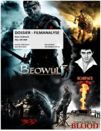 Filmanalyse Narrativiteit (5 films)