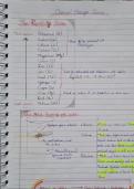 Chemical Changes Class Notes