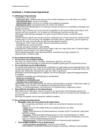Professioneel Hulpverlenen