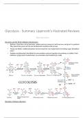 Glycolysis - Summary Lippincott's Illustrated Reviews