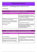 Besigheidstudies