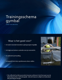 trainingsschema met fitball 