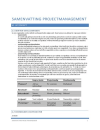 Samenvatting Projectmanagement - Roel Grit