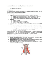 Musculatura del cuello, tórax y abdomen