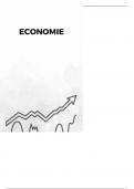 Economie samenvatting 5 havo (hoofdstuk 10 t/m 17)