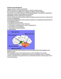 Samenvatting leerdoelen preklinische neurowetenschappen
