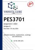 PES3701 Assignment 3 (DETAILED ANSWERS) 2024 - DISTINCTION GUARANTEED 