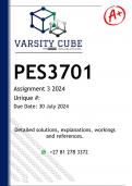 PES3701 Assignment 3 &lpar;DETAILED ANSWERS&rpar; 2024 - DISTINCTION GUARANTEED 