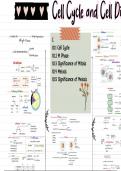 SHORT AND BEAUTIFUL MINDMAP OF CELL CYCLE AND CELL DIVISION TOTALLY BASED ON NCERT