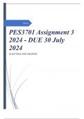PES3701 Assignment 3 2024 - DUE 30 July 2024