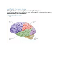 Lichaam & Gedrag Psychologie taak 1: Anatomie van de hersenen