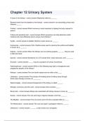 Chapter 12 Urinary System
