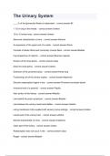 The Urinary System&period;